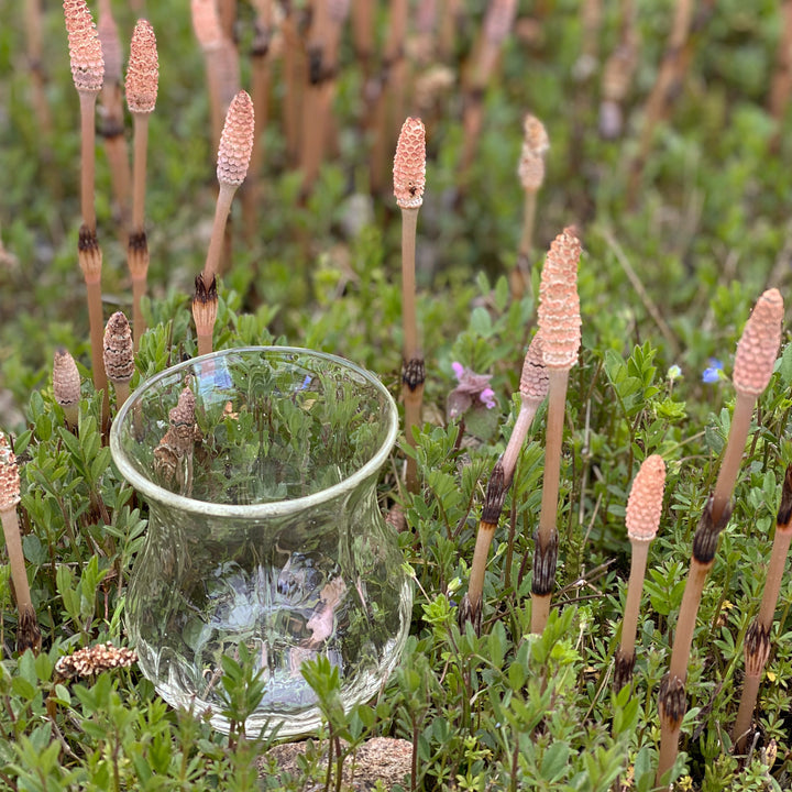 Azuchi Sota cold tea glass