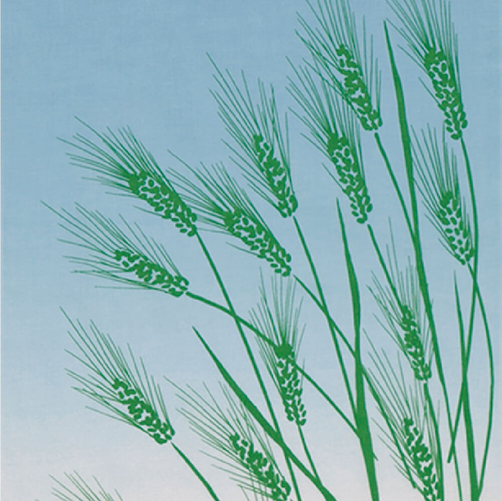 tenugui wheat