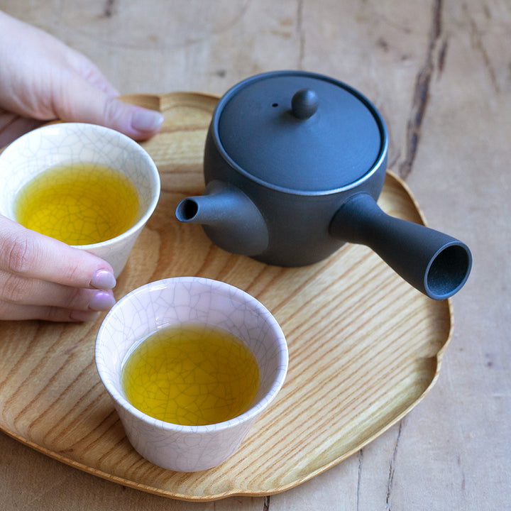 南景製陶 急須 芙蓉 黒くすべ