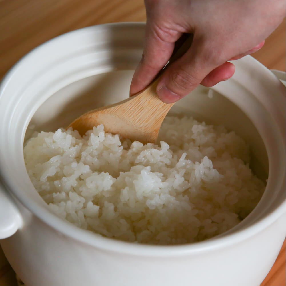 Taisei kiln rice pot 3 cups 2 types